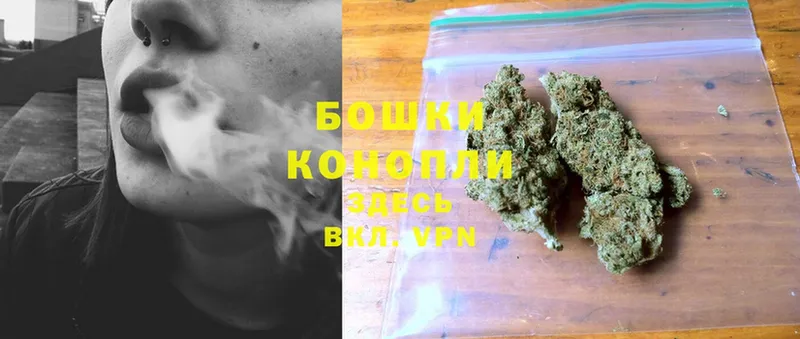 Каннабис THC 21%  цена наркотик  Новопавловск 